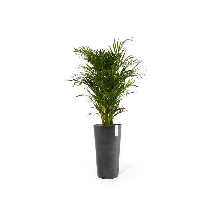 Stora krukor