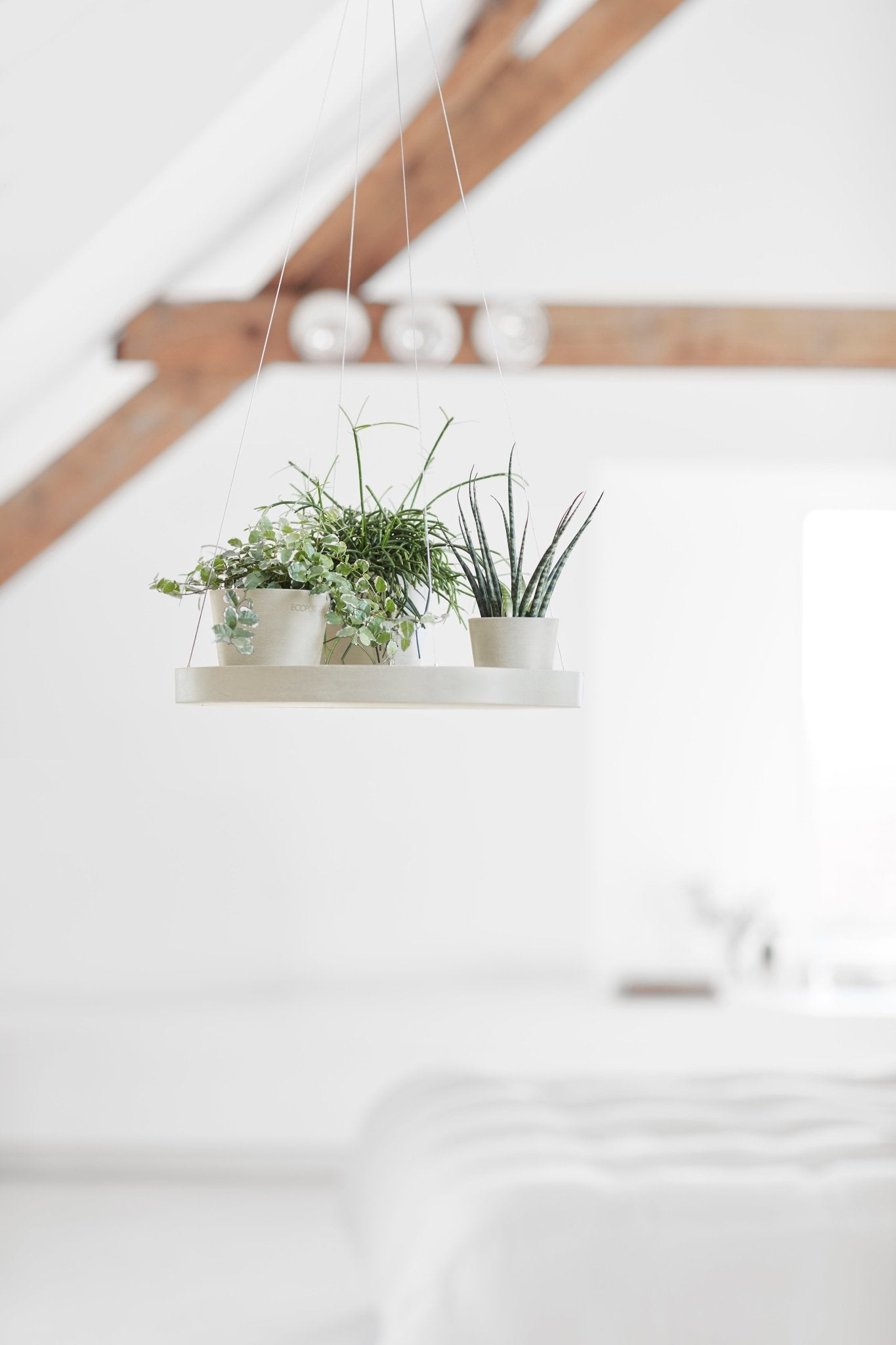 Kukkaruukku - Ecopots - Aluslautanen ripustettava 36cm valkoharmaa - Ecopotskauppa - Uuden aikakauden kukkaruukku