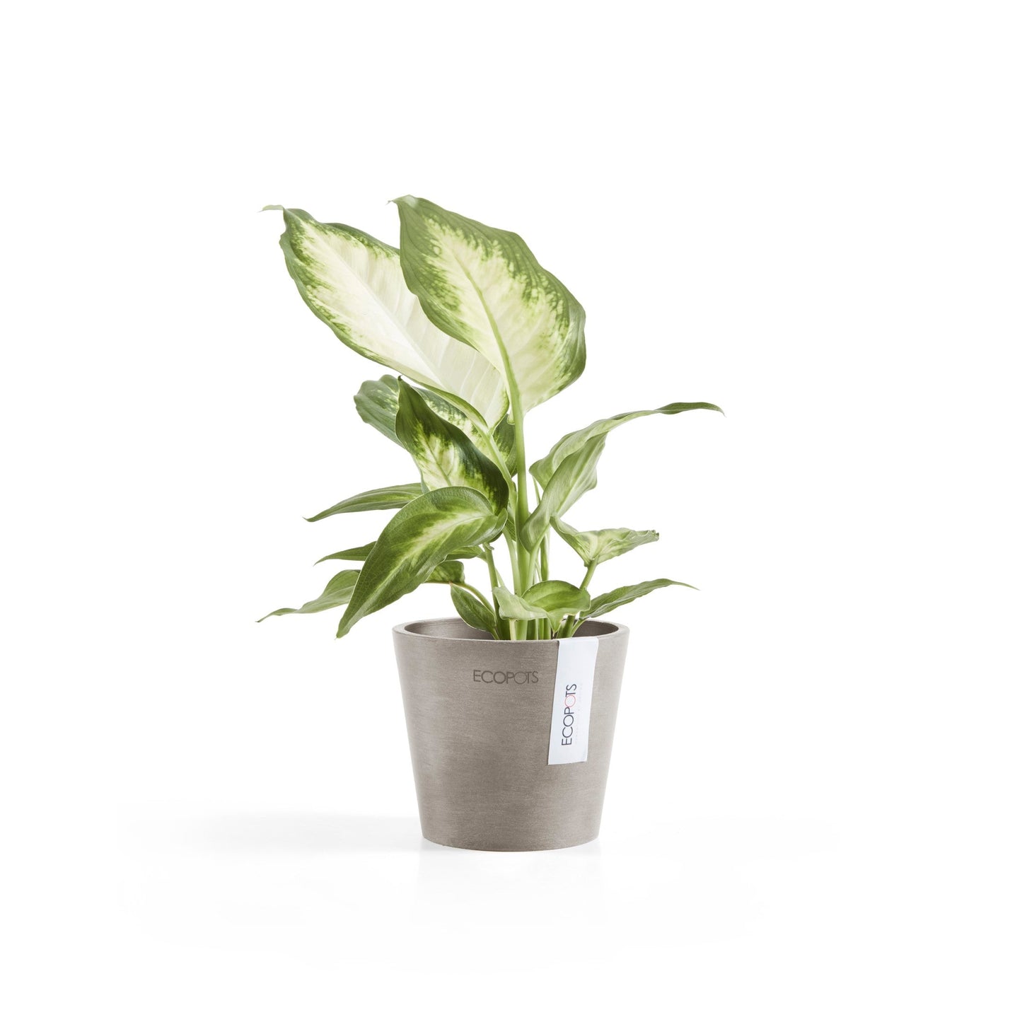Kukkaruukku - Ecopots - Amsterdam 10,5cm taupe - Ecopotskauppa - Uuden aikakauden kukkaruukku
