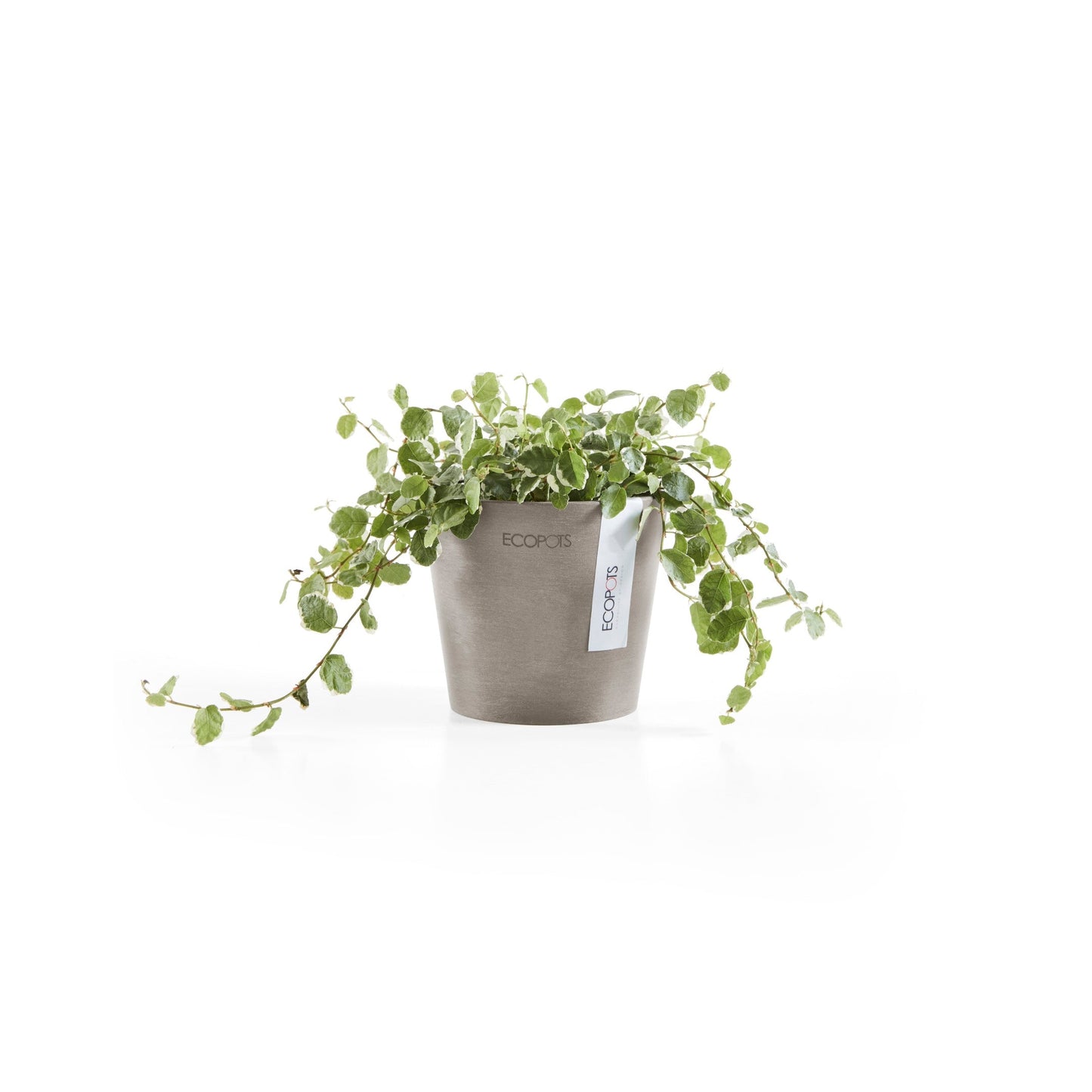Kukkaruukku - Ecopots - Amsterdam 10,5cm taupe - Ecopotskauppa - Uuden aikakauden kukkaruukku