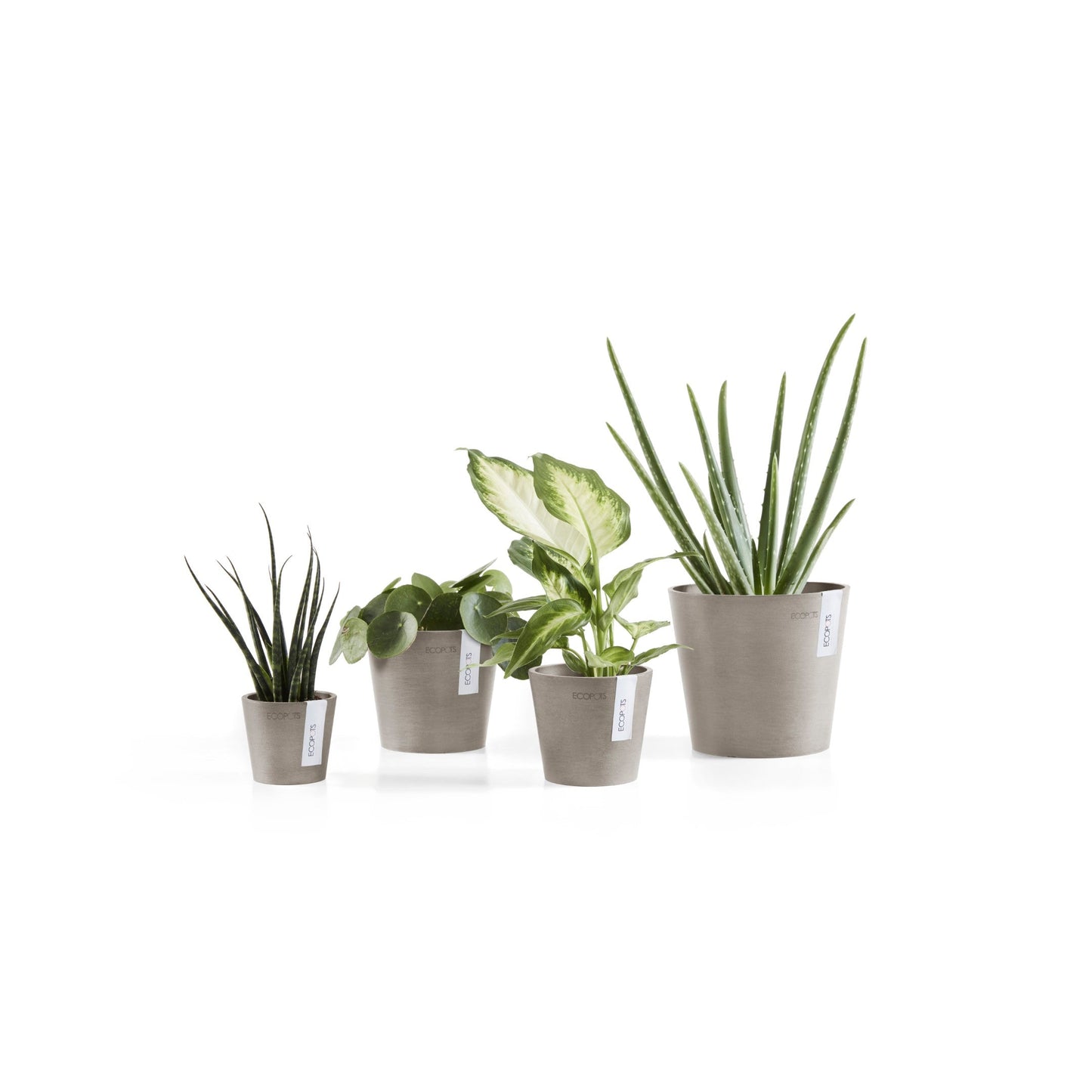 Kukkaruukku - Ecopots - Amsterdam 10,5cm taupe - Ecopotskauppa - Uuden aikakauden kukkaruukku