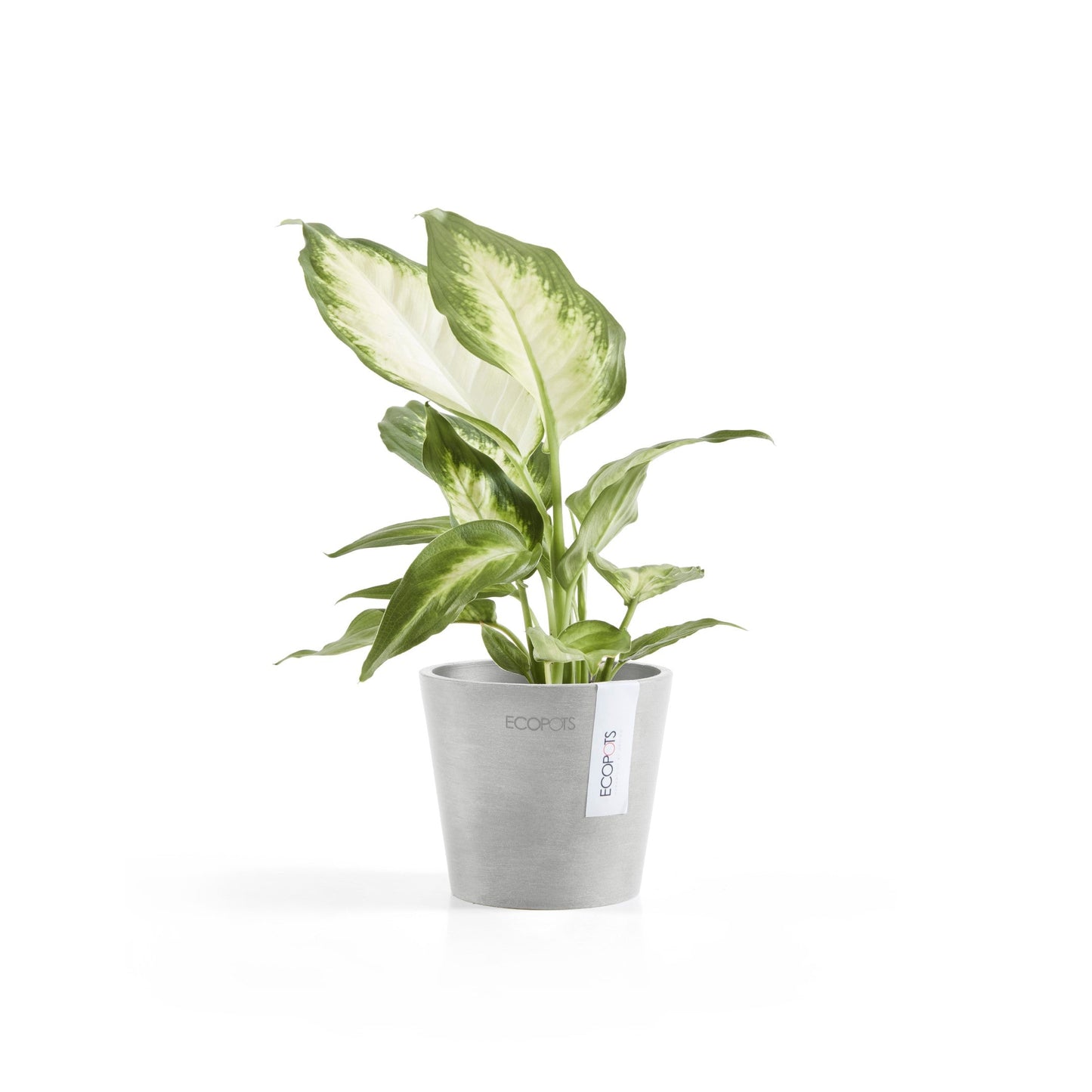 Kukkaruukku - Ecopots - Amsterdam 10,5cm valkoharmaa - Ecopotskauppa - Uuden aikakauden kukkaruukku