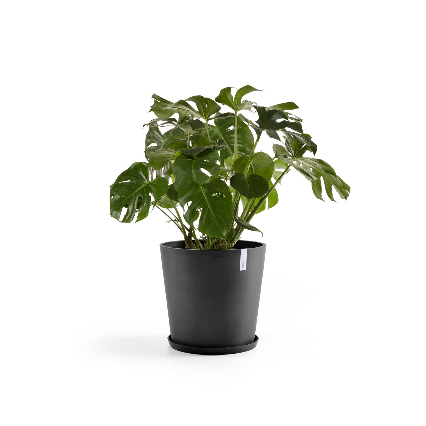 Kukkaruukku - Ecopots - Amsterdam 60cm tummanharmaa - Ecopotskauppa - Uuden aikakauden kukkaruukku