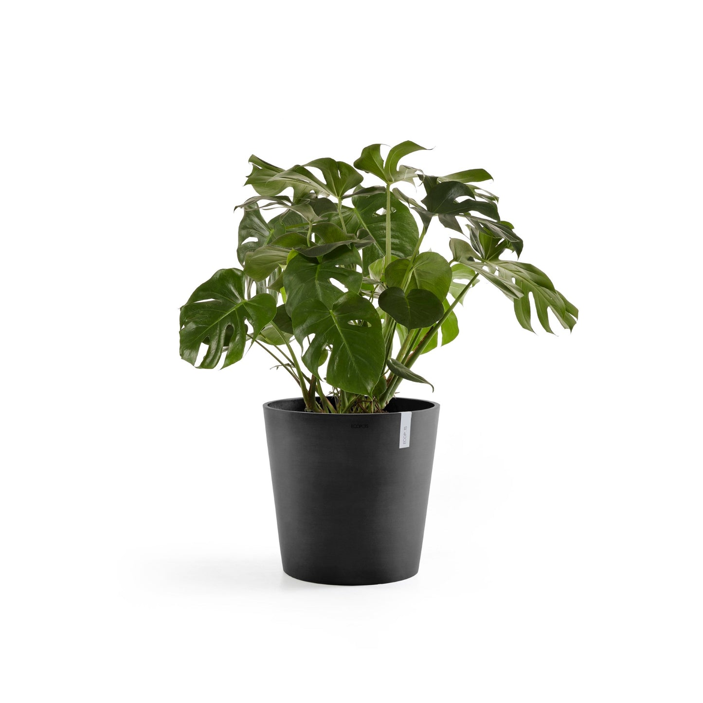 Kukkaruukku - Ecopots - Amsterdam 60cm tummanharmaa - Ecopotskauppa - Uuden aikakauden kukkaruukku