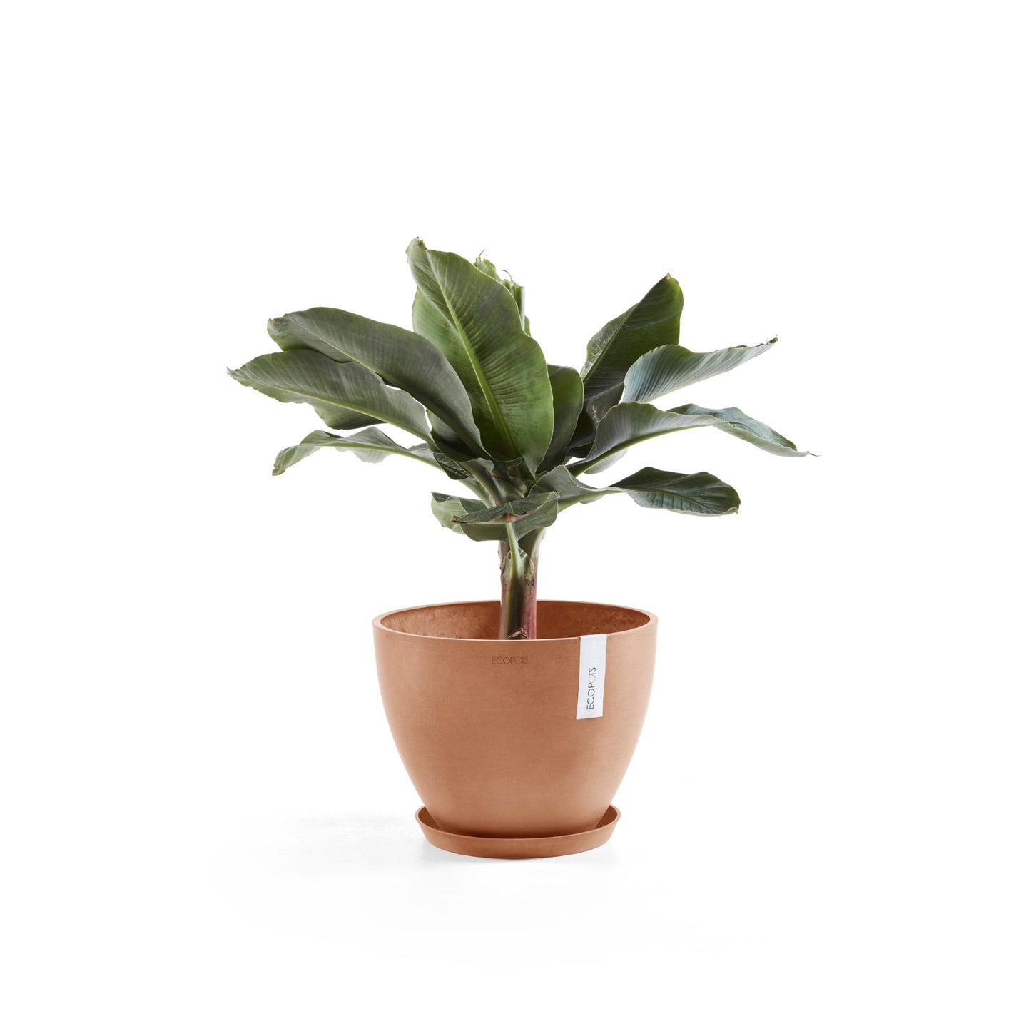 Kukkaruukku - Ecopots - Antwerpen 40cm terracotta - Ecopotskauppa - Uuden aikakauden kukkaruukku