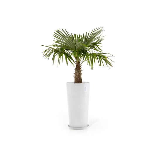 Kukkaruukku - Ecopots - Kukkaruukku Amsterdam keskikorkea 66cm valkoinen - Ecopots - Uuden aikakauden kukkaruukku kierrätysmateriaalista