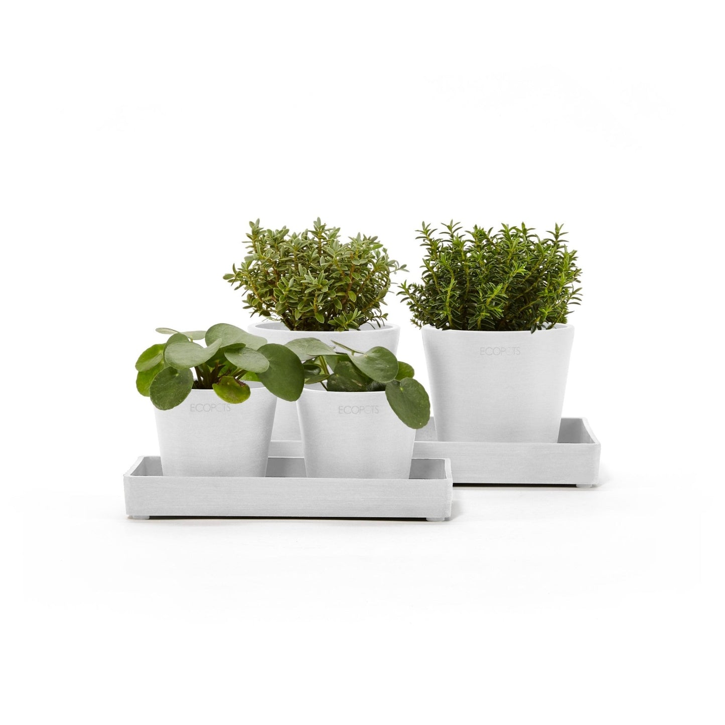 Kukkaruukku - Ecopots - Kukkaruukku esillepanotarjotin 20cm valkoinen - Ecopots - Uuden aikakauden kukkaruukku kierrätysmateriaalista