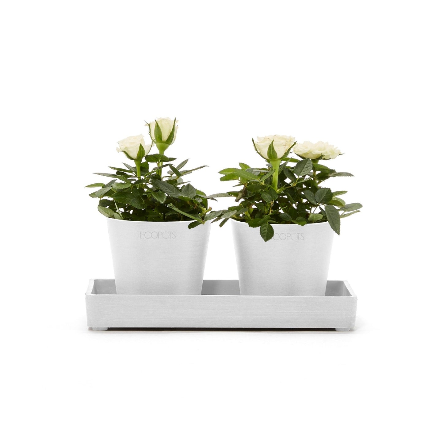 Kukkaruukku - Ecopots - Kukkaruukku esillepanotarjotin 20cm valkoinen - Ecopots - Uuden aikakauden kukkaruukku kierrätysmateriaalista