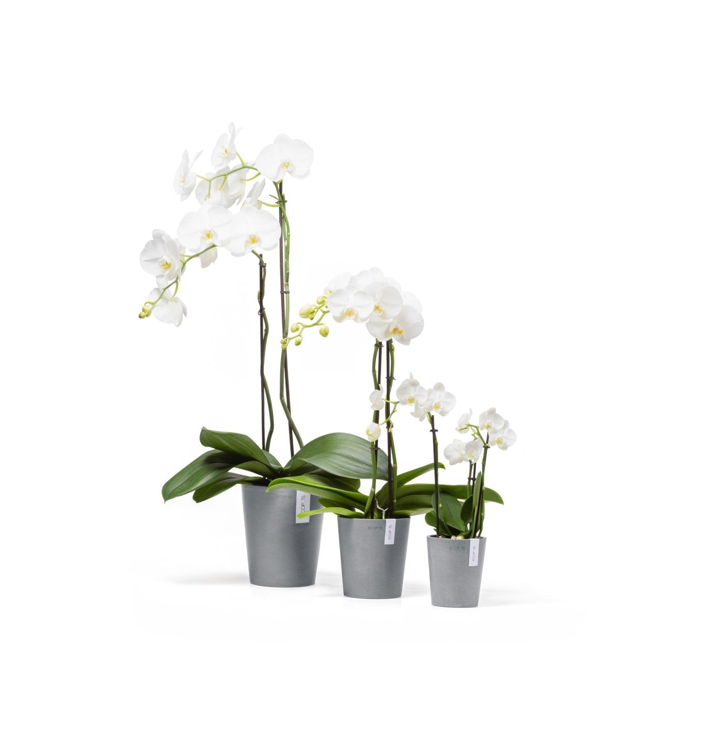 Kukkaruukku - Ecopots - Kukkaruukku Morinda 11cm siniharmaa - Ecopots - Uuden aikakauden kukkaruukku kierrätysmateriaalista