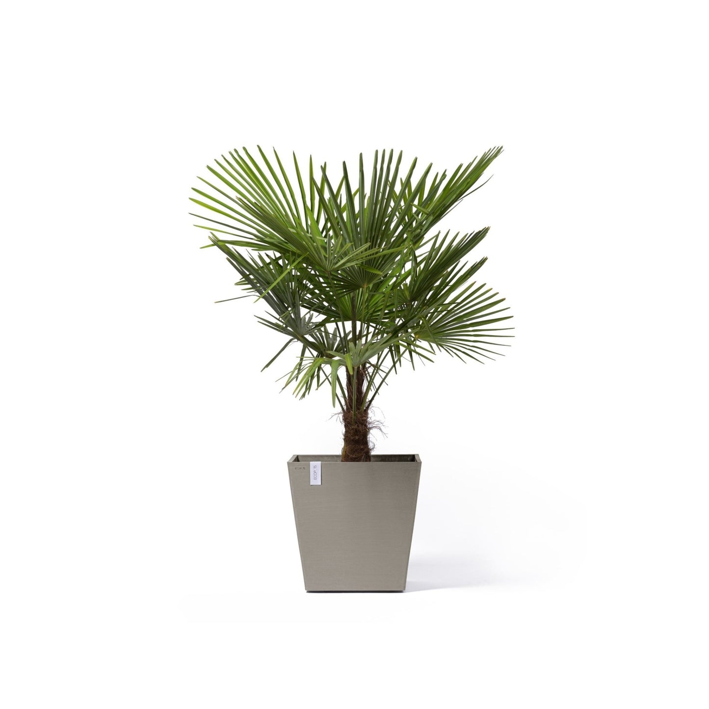 Kukkaruukku - Ecopots - Kukkaruukku Rotterdam pyörillä 50cm taupe - Ecopots - Uuden aikakauden kukkaruukku kierrätysmateriaalista