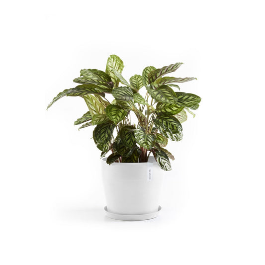 Kukkaruukku - Ecopots - Kukkaruukku Sankara 40cm valkoinen - Ecopots - Uuden aikakauden kukkaruukku kierrätysmateriaalista