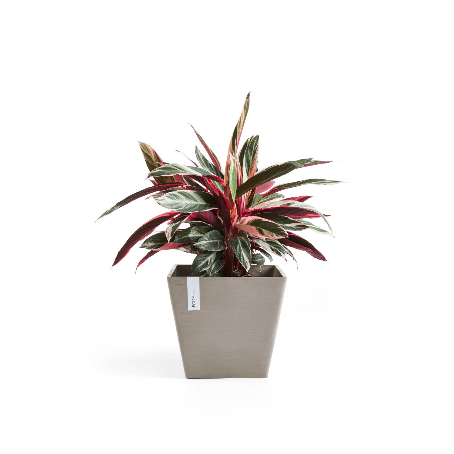 Kukkaruukku - Ecopots - Rotterdam 40cm taupe - Ecopotskauppa - Uuden aikakauden kukkaruukku