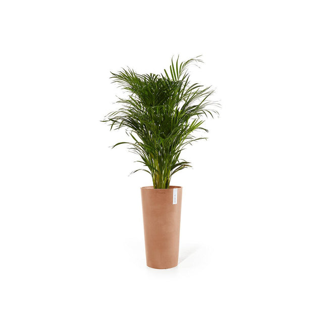 Ecopots Amsterdam -ruukku