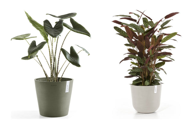 Ecopots-ruukut uusissa kaki- ja hiekka-väreissä
