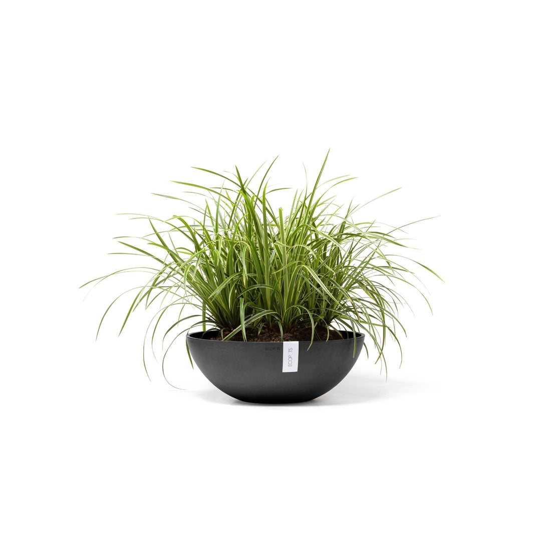 Ecopots Vienna -ruukku ulkona