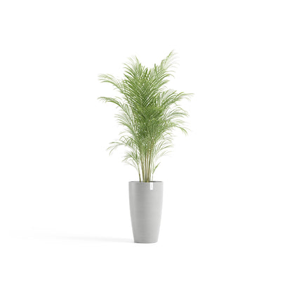 Kukkaruukku Tukholma korkea 60cm valkoharmaa – kasvin kanssa