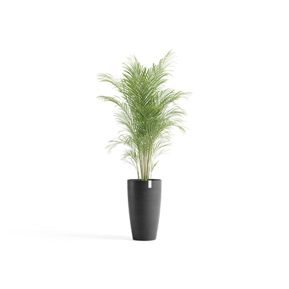 Kukkaruukku Tukholma korkea 60cm tummanharmaa – kasvin kanssa
