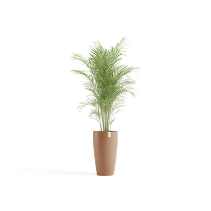 Kukkaruukku Tukholma korkea 60cm terracotta – kasvin kanssa