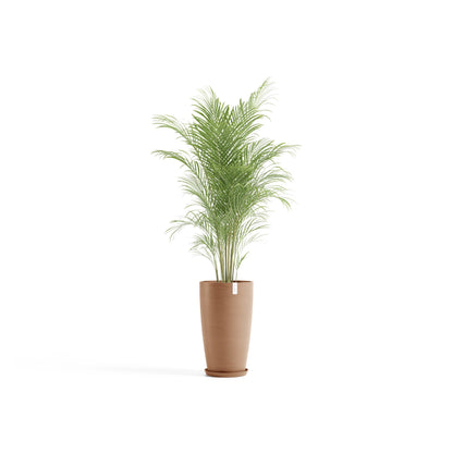 Kukkaruukku Tukholma korkea 60cm terracotta – aluslautasen ja kasvin kanssa