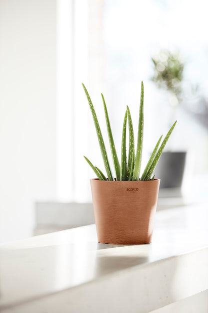 Kukkaruukku Amsterdam 20cm terracotta – tunnelmakuva