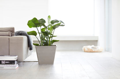 Kukkaruukku Rotterdam 50cm taupe – tunnelmakuva