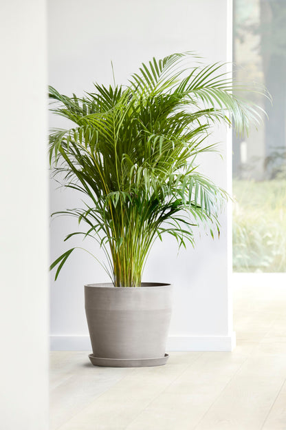 Kukkaruukku Sankara 40cm taupe – tunnelmakuva