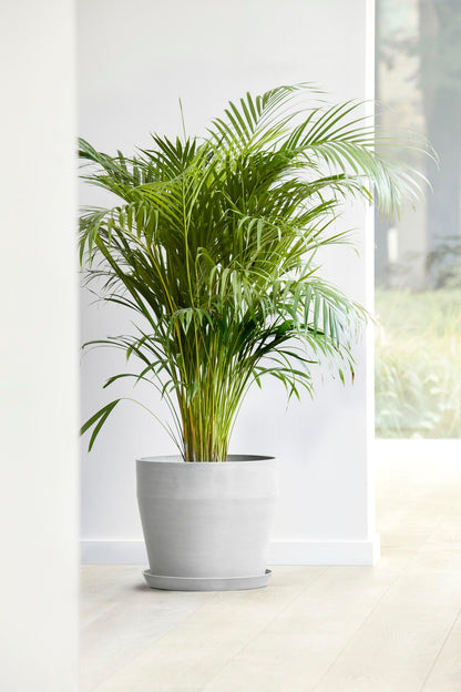 Kukkaruukku Sankara 40cm valkoharmaa – tunnelmakuva