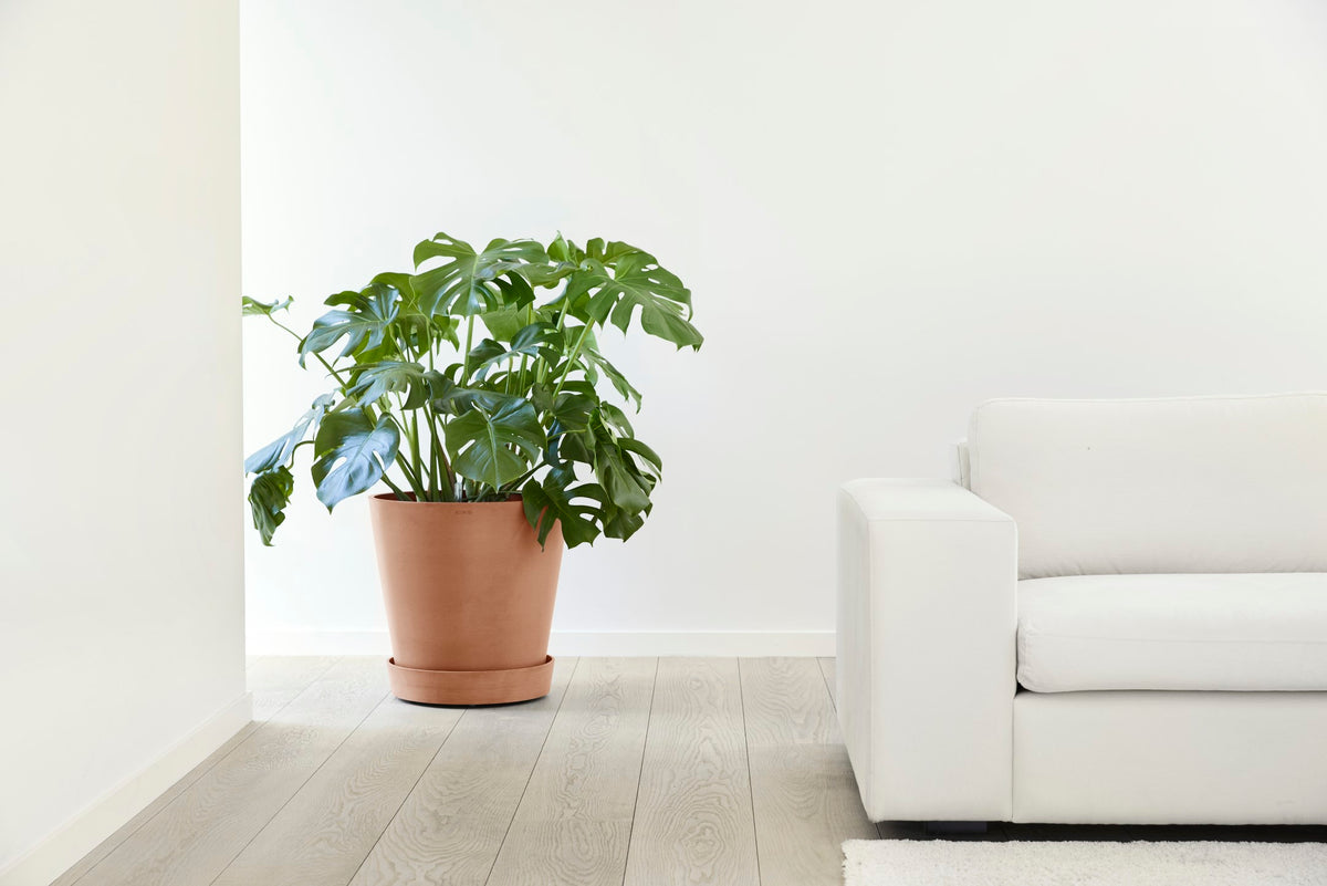 Aluslautanen Amsterdam pyörillä 60cm terracotta – tunnelmakuva