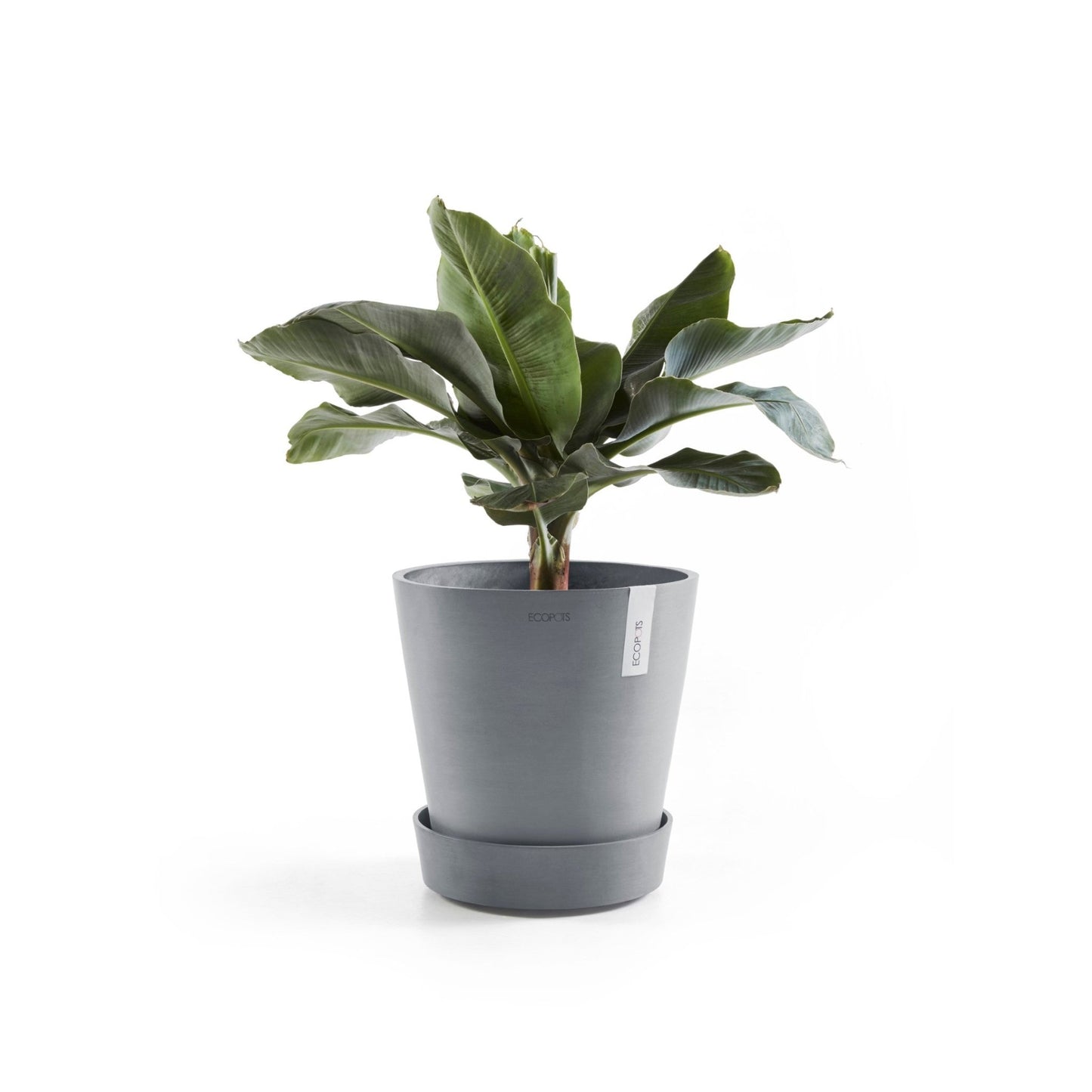 Kukkaruukku - Ecopots - Aluslautanen Amsterdam pyörillä 30cm siniharmaa - Ecopots - Uuden aikakauden kukkaruukku kierrätysmateriaalista