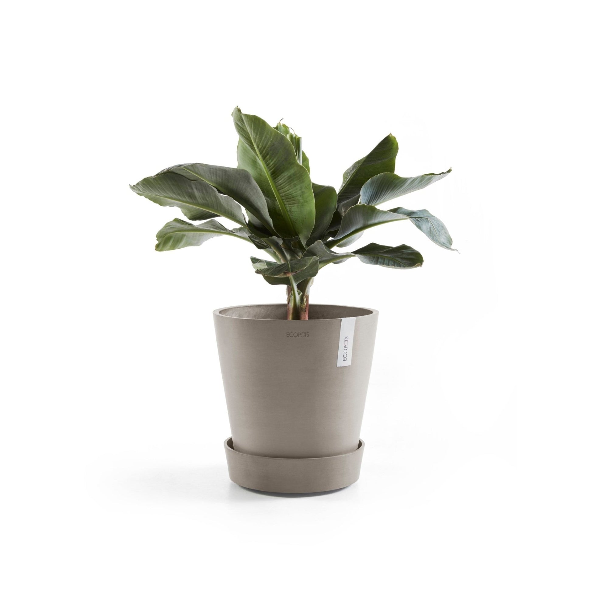 Kukkaruukku - Ecopots - Aluslautanen Amsterdam pyörillä 30cm taupe - Ecopots - Uuden aikakauden kukkaruukku kierrätysmateriaalista