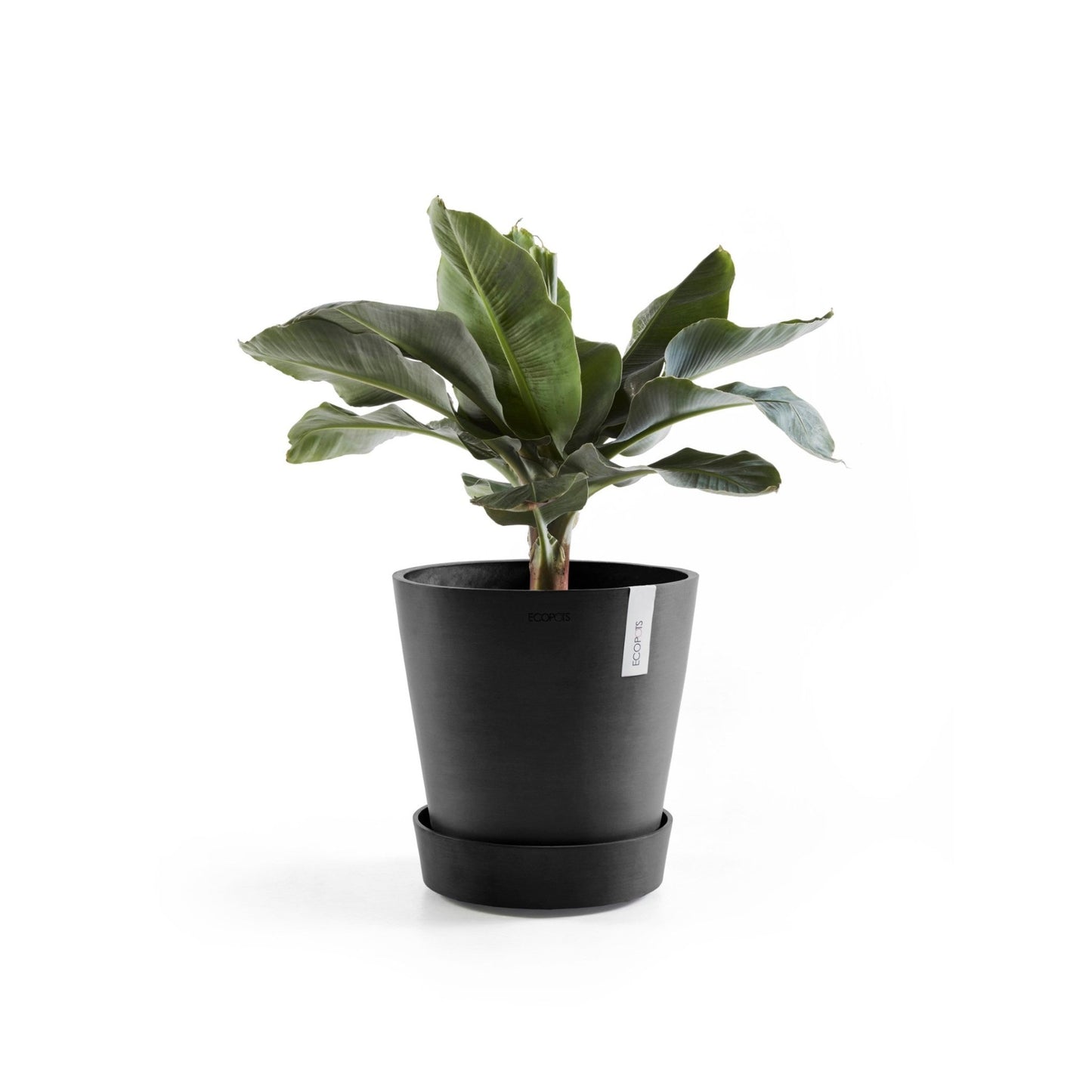 Kukkaruukku - Ecopots - Aluslautanen Amsterdam pyörillä 30cm tummanharmaa - Ecopots - Uuden aikakauden kukkaruukku kierrätysmateriaalista