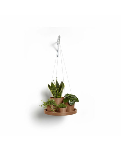 Aluslautanen ripustettava 36cm terracotta – aluslautasen ja kasvin kanssa