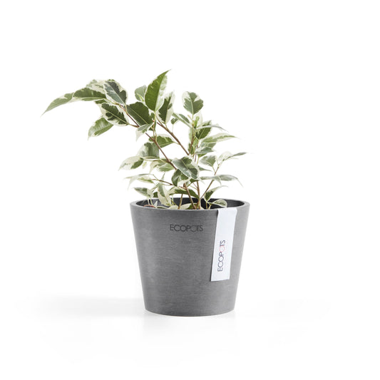 Kukkaruukku - Ecopots - Amsterdam 10,5cm harmaa - Ecopotskauppa - Uuden aikakauden kukkaruukku