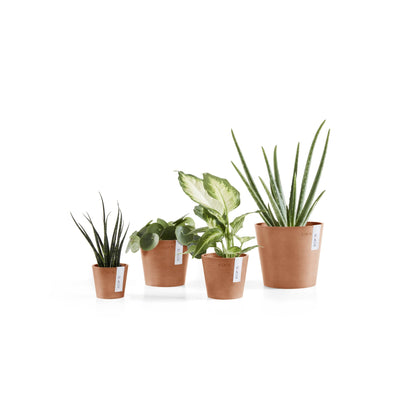 Kukkaruukku Amsterdam 10,5cm terracotta – koko mallisto