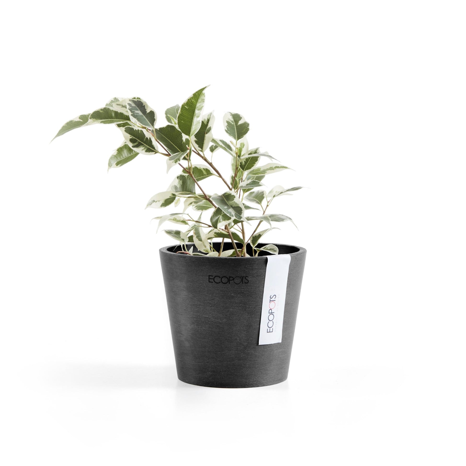 Kukkaruukku - Ecopots - Amsterdam 10,5cm tummanharmaa - Ecopotskauppa - Uuden aikakauden kukkaruukku