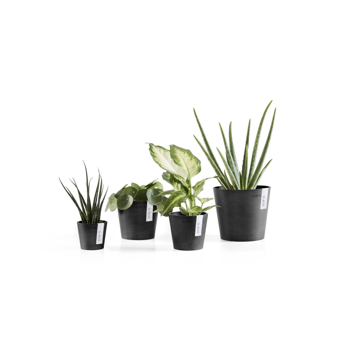 Kukkaruukku - Ecopots - Amsterdam 10,5cm tummanharmaa - Ecopotskauppa - Uuden aikakauden kukkaruukku