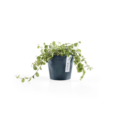 Kukkaruukku - Ecopots - Amsterdam 10,5cm tummansininen - Ecopotskauppa - Uuden aikakauden kukkaruukku