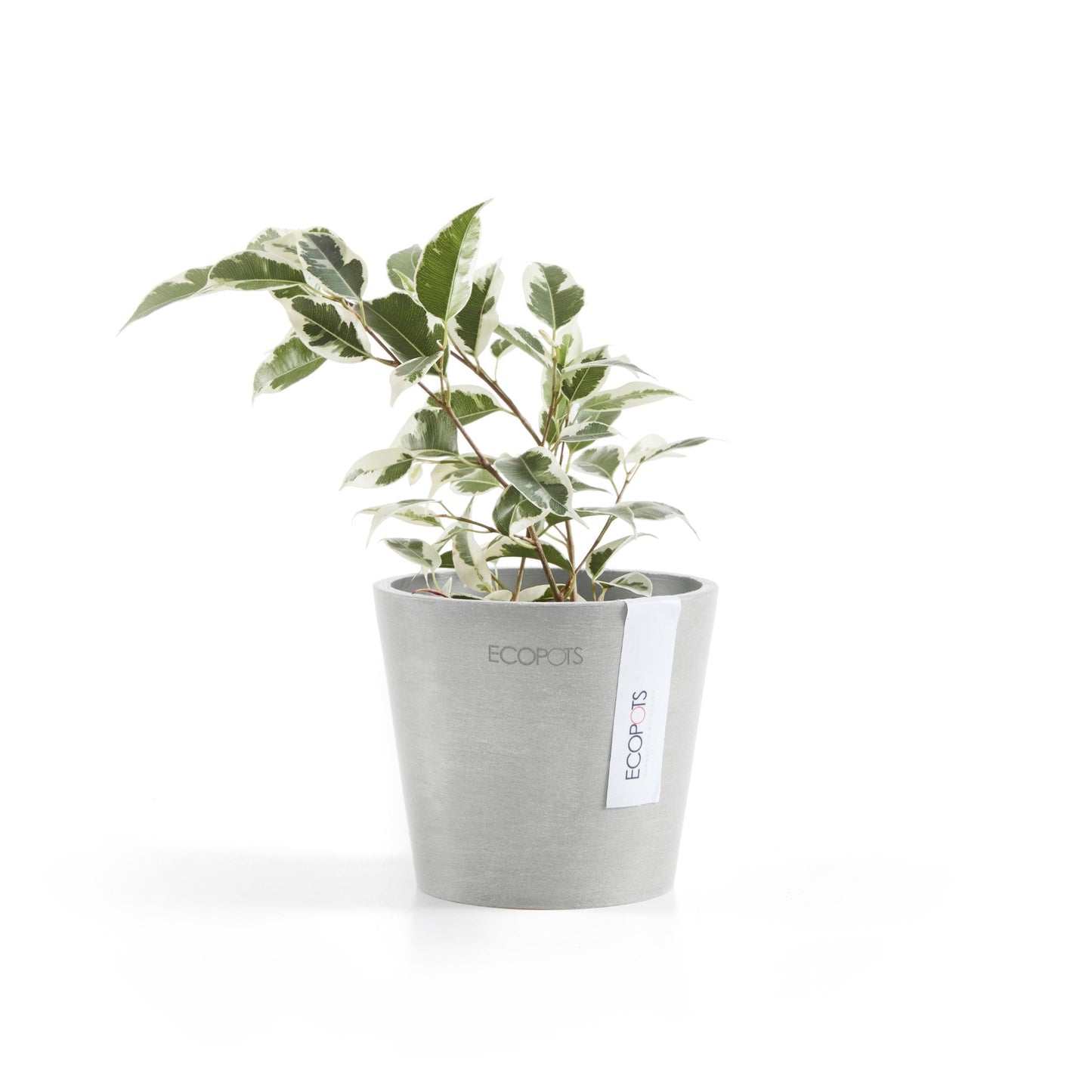 Kukkaruukku - Ecopots - Amsterdam 10,5cm valkoharmaa - Ecopotskauppa - Uuden aikakauden kukkaruukku