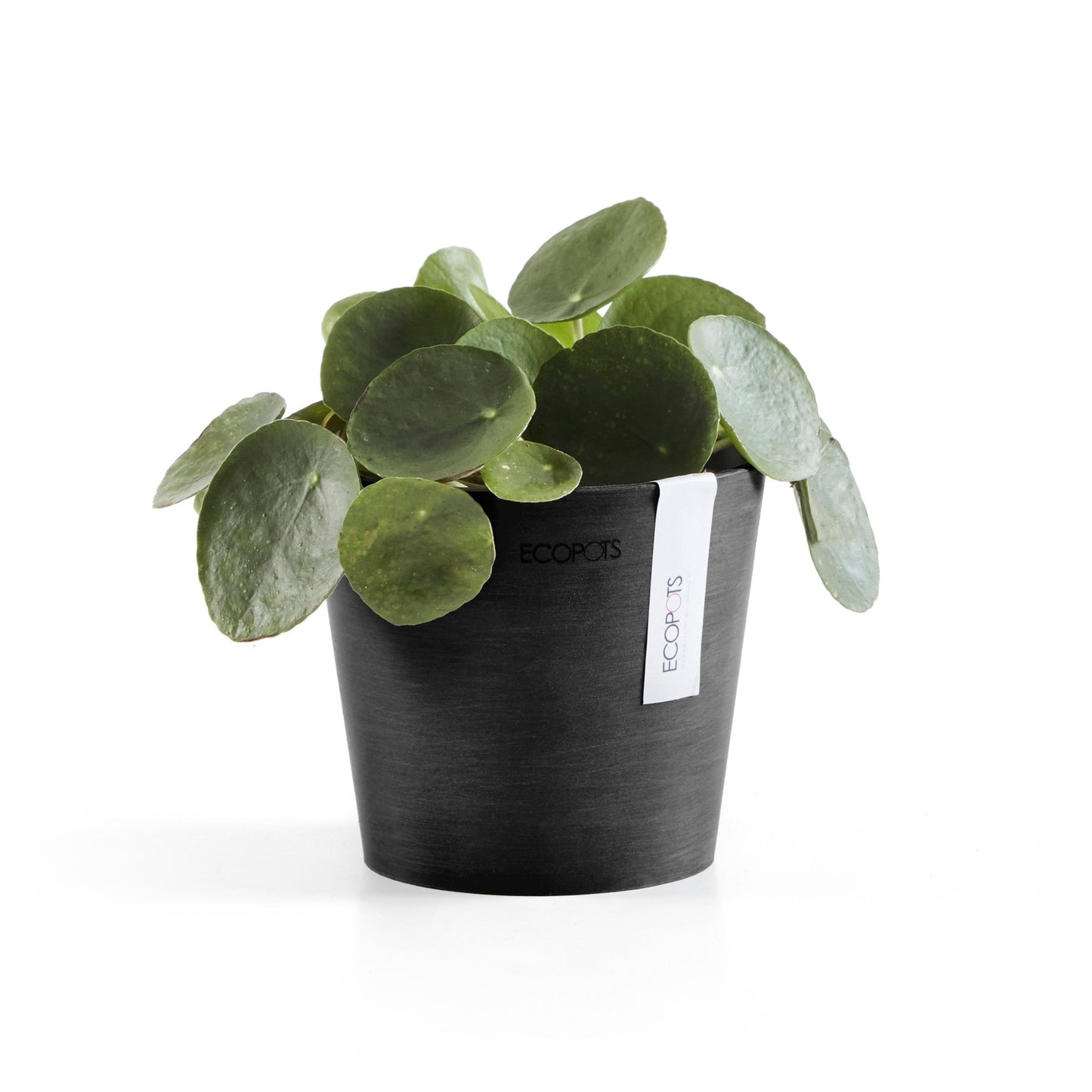 Kukkaruukku - Ecopots - Amsterdam 13cm tummanharmaa - Ecopotskauppa - Uuden aikakauden kukkaruukku