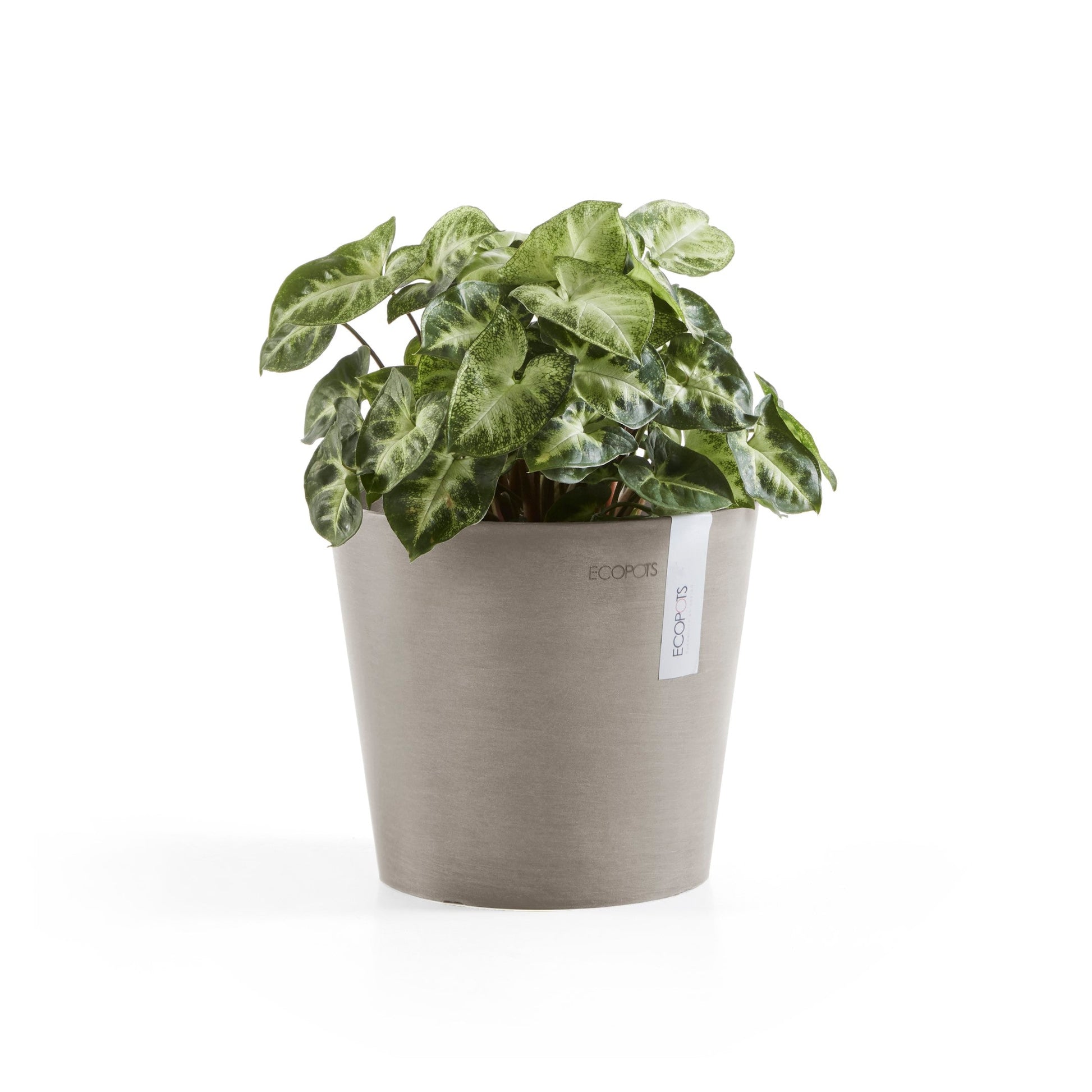 Kukkaruukku - Ecopots - Amsterdam 17cm taupe - Ecopotskauppa - Uuden aikakauden kukkaruukku