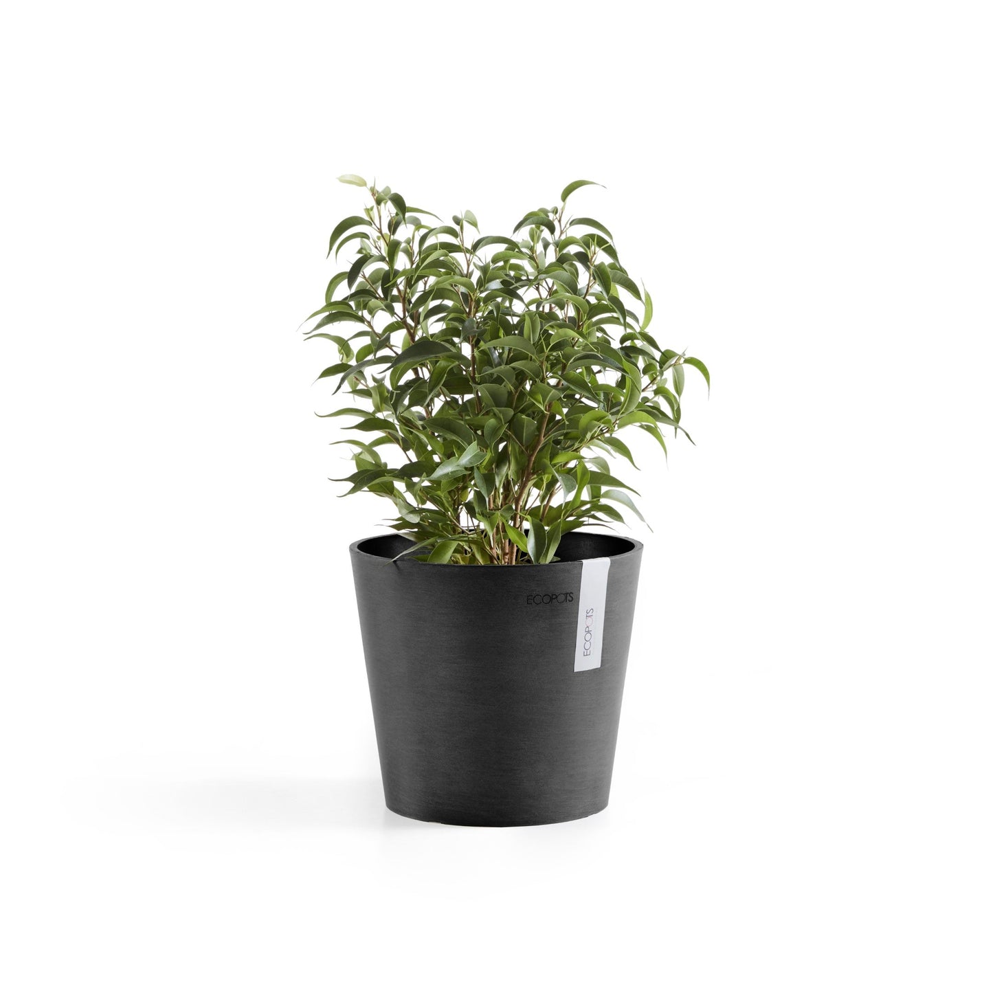 Kukkaruukku - Ecopots - Amsterdam 17cm tummanharmaa - Ecopotskauppa - Uuden aikakauden kukkaruukku