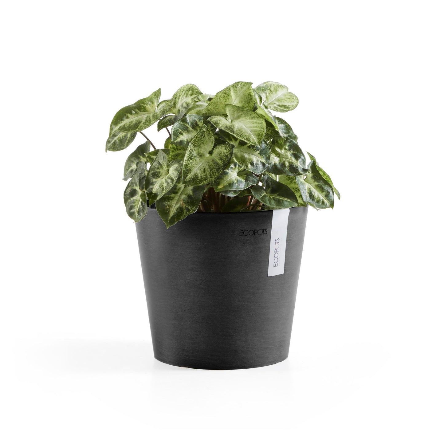 Kukkaruukku - Ecopots - Amsterdam 17cm tummanharmaa - Ecopotskauppa - Uuden aikakauden kukkaruukku