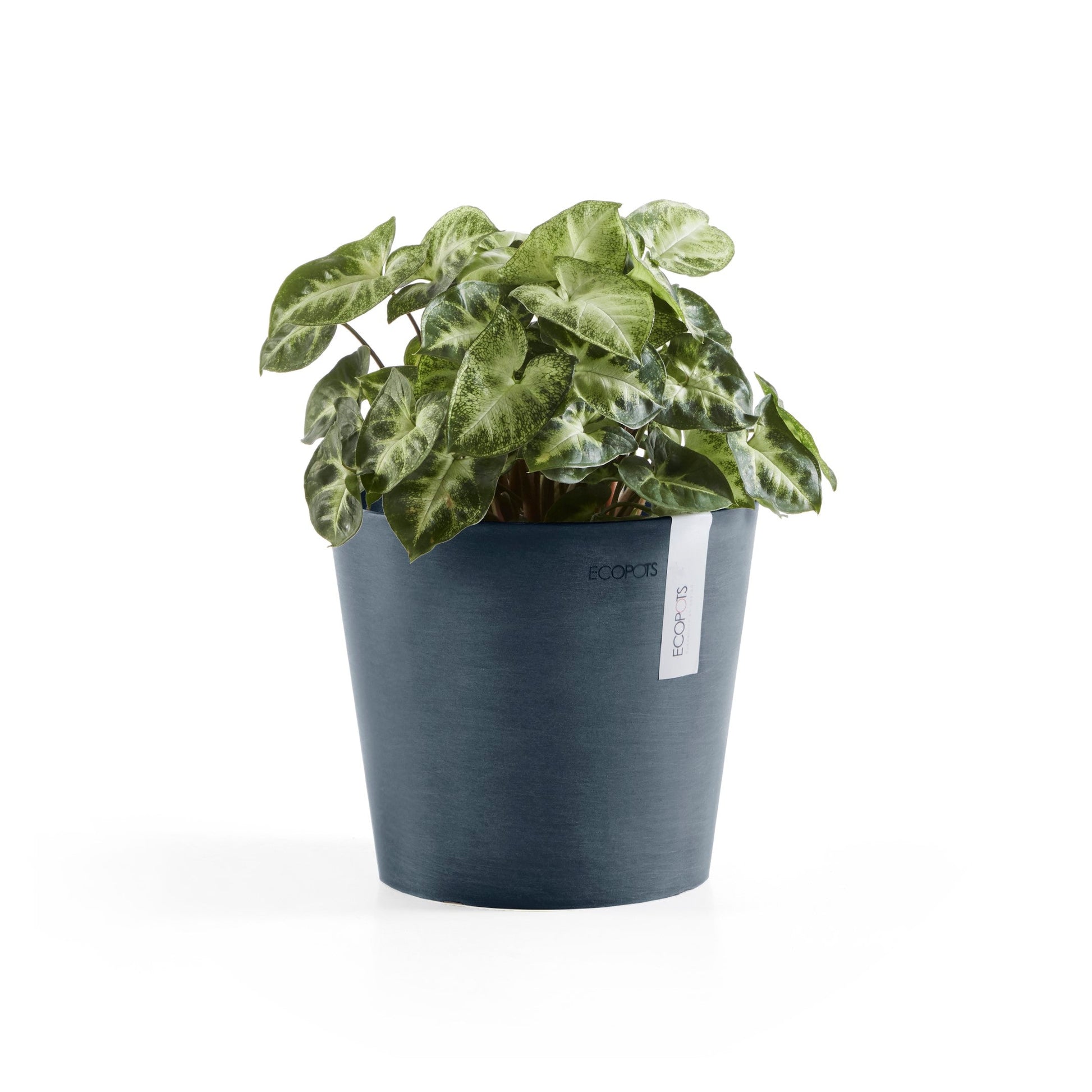 Kukkaruukku - Ecopots - Amsterdam 17cm tummansininen - Ecopotskauppa - Uuden aikakauden kukkaruukku