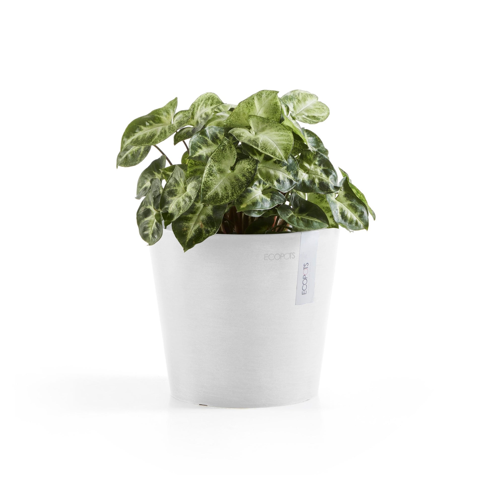 Kukkaruukku - Ecopots - Amsterdam 17cm valkoinen - Ecopotskauppa - Uuden aikakauden kukkaruukku