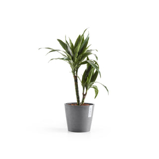 Kruka Amsterdam 20cm grå