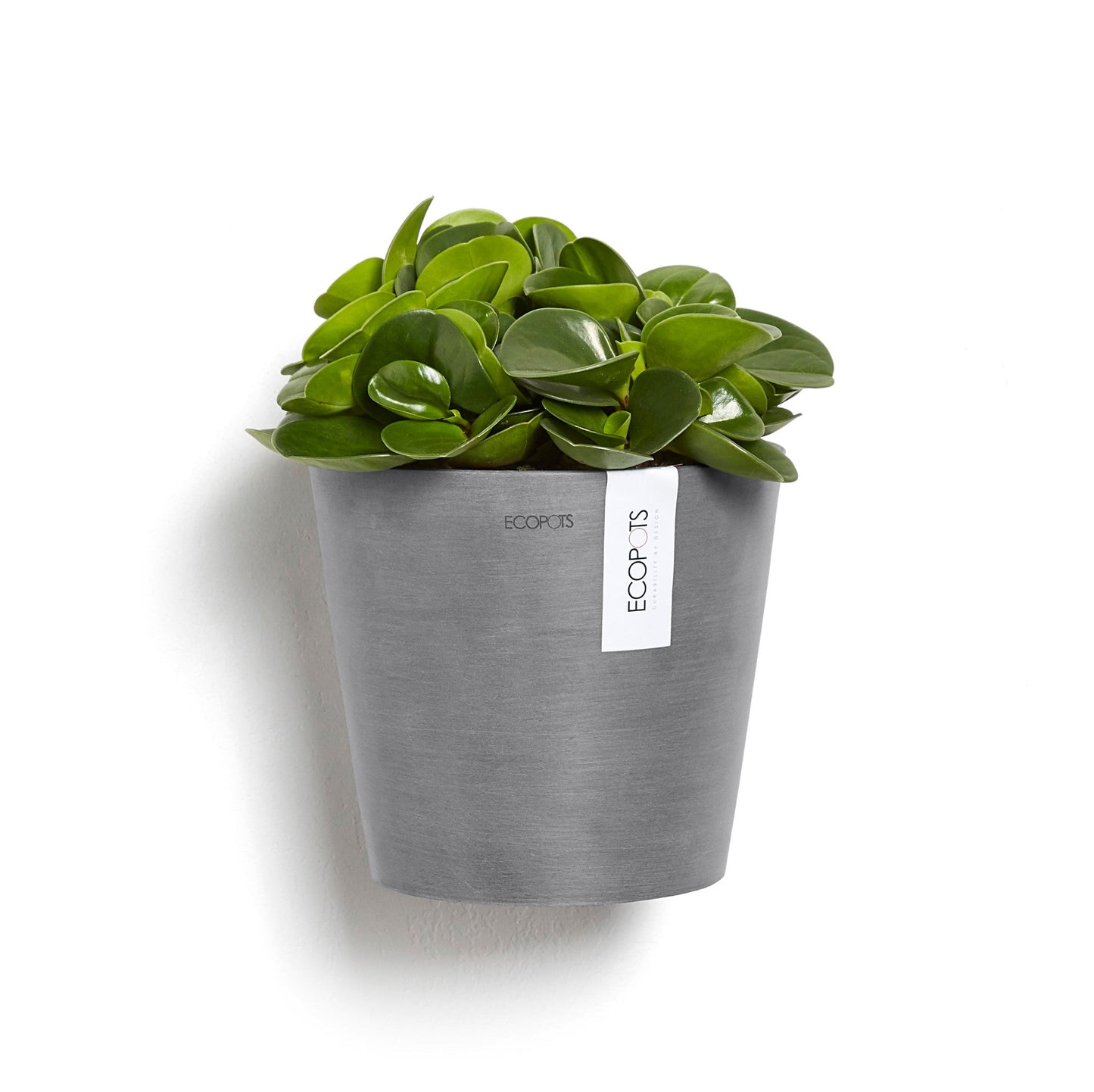 Kukkaruukku - Ecopots - Amsterdam 20cm seinäruukku harmaa - Ecopotskauppa - Uuden aikakauden kukkaruukku