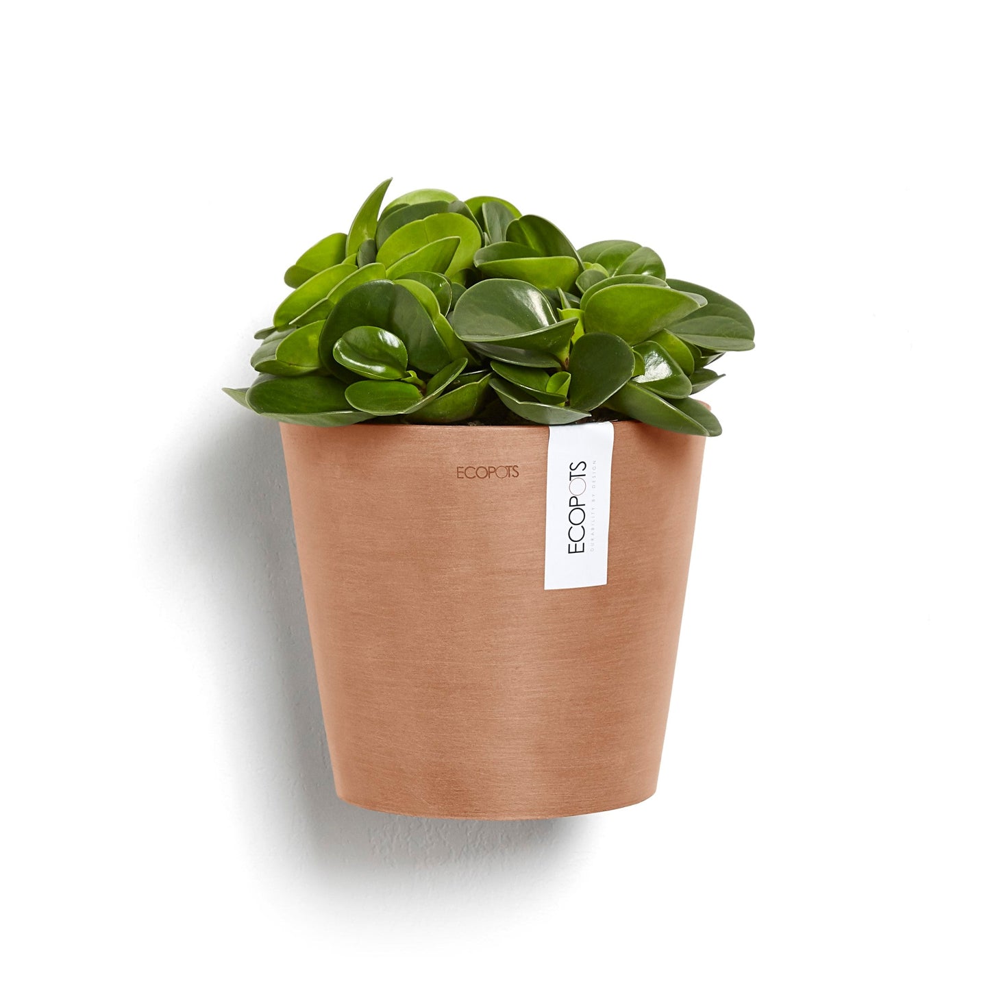 Kukkaruukku - Ecopots - Amsterdam 20cm seinäruukku terracotta - Ecopotskauppa - Uuden aikakauden kukkaruukku