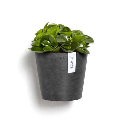 Kukkaruukku - Ecopots - Amsterdam 20cm seinäruukku tummanharmaa - Ecopotskauppa - Uuden aikakauden kukkaruukku