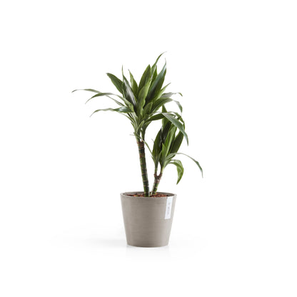Kukkaruukku - Ecopots - Amsterdam 20cm taupe - Ecopotskauppa - Uuden aikakauden kukkaruukku