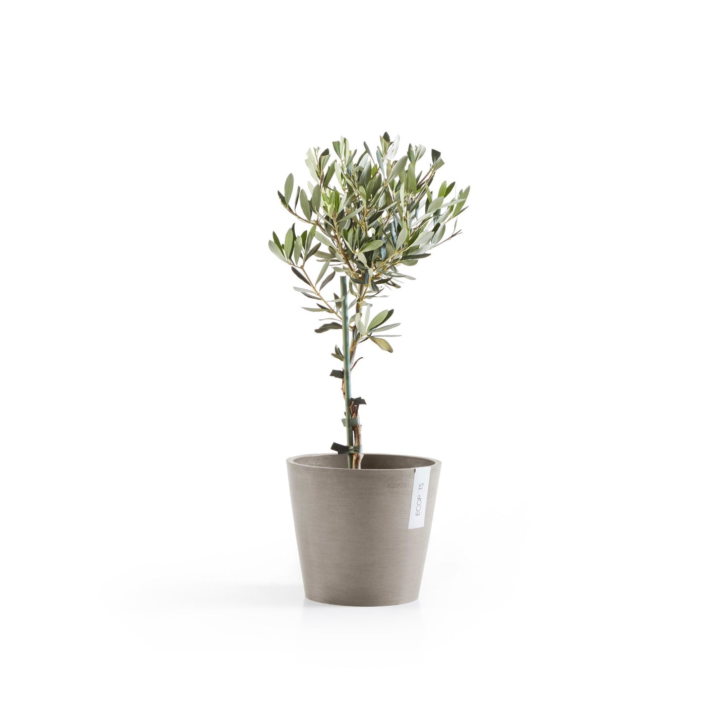 Kukkaruukku - Ecopots - Amsterdam 20cm taupe - Ecopotskauppa - Uuden aikakauden kukkaruukku